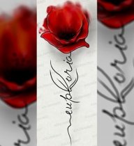 Mishel